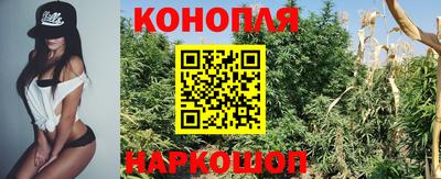 не бодяженный Моздок