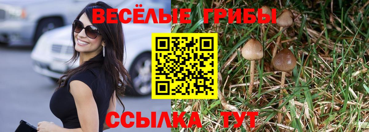 Галлюциногенные грибы Psilocybine cubensis Жигулёвск